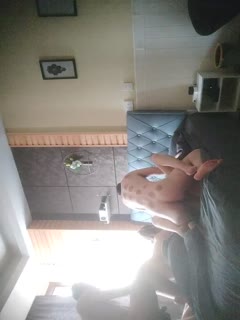 两对夫妻换妻活动，这次活动由于有一个绿帽老公_由于鸡巴阳痿了全程拿着相机拍摄，还找两个领导一起操老婆。绿帽老公只在旁边辅助，看老婆被操的结合处。(2). 海报